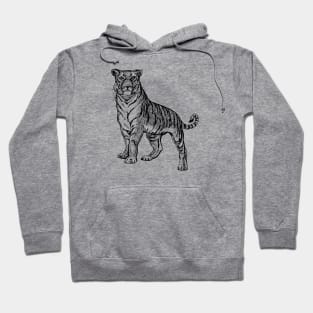 Tiger Line Art Graphite Pencil Drawing Hoodie